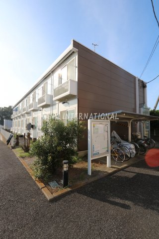 椿