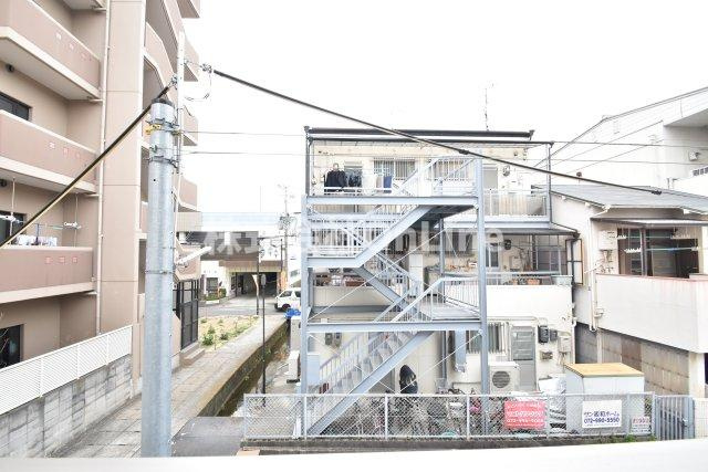 【展望】 | Lavi libre-K