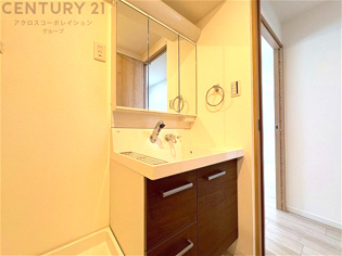 化粧品や洗顔料、歯ブラシなどの必需品をまとめて置ける収納スペースがあり、使用するたびに取り出す手間が省けます。また、水回りのため、濡れても大丈夫な素材が使用されており、お手入れが簡単です。