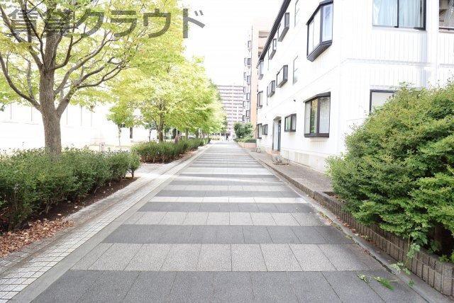 ミドルロード　壱番館の周辺|目の前の遊歩道はお散歩やランニングしても気持ちがいいです