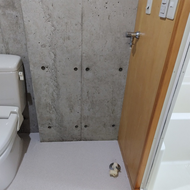 ＢＡＮＰＯＯⅠ・Ⅱのその他|室内洗濯機置き場