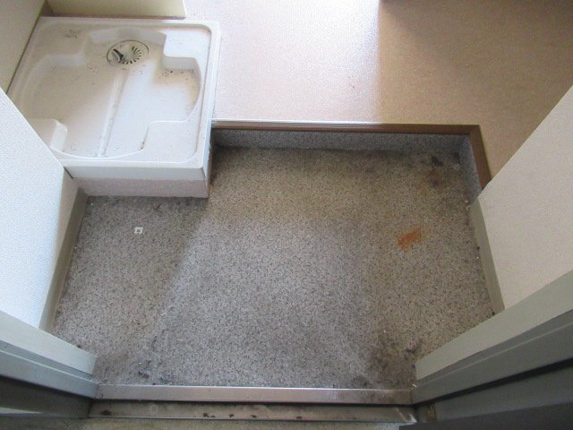 ニュープレジデント藤沢の玄関