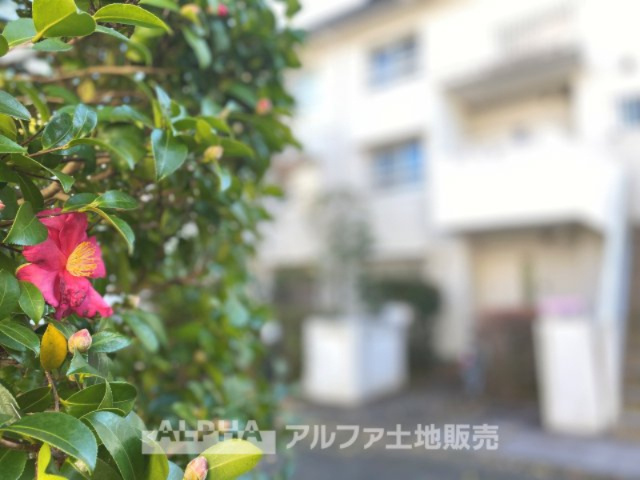 エステート鶴牧4・5－３の外観|【Green orchestra】
◆四季の植栽◆広葉樹の四季の移ろいを、季節に表情を変えるグリーンとレッドのそれに呼応して変化する外観。それはまさに緑とシンパシーし鳴りやまないオーケストラの邸宅。