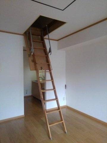 セレーノ蔵子のその他