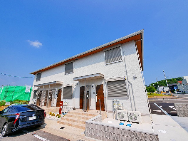 パームツリー　（Palm　Tree）