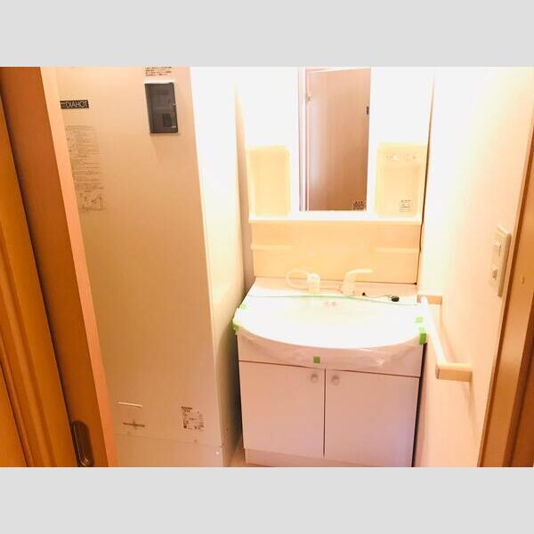 シャトー三和南車崎の洗面所