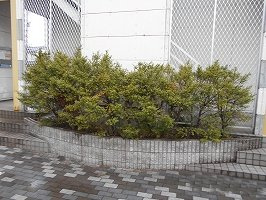 レオパレスオアシスのその他