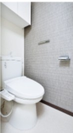 川口市西川口一丁目　レアライズ西川口　2階のトイレ|※賃貸中のためパンフレッドから転載しております