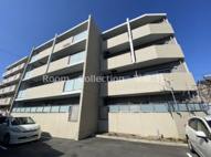 メイベニールの画像