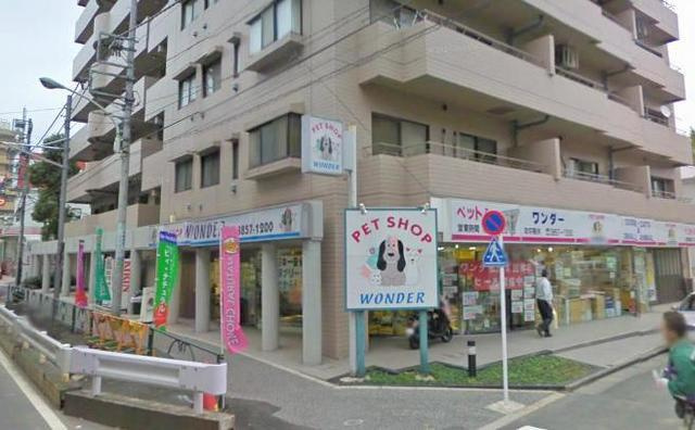 Ｇｒａｎｄ　Ｃｈａｒｉｏｔのその他|ペットショップワンダー