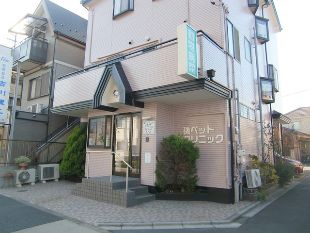 Ｇｒａｎｄ　Ｃｈａｒｉｏｔのその他|磯ペットクリニック