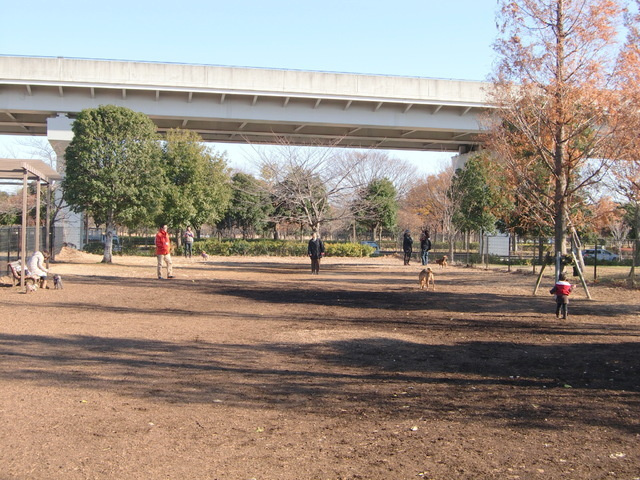 Ｇｒａｎｄ　Ｃｈａｒｉｏｔのその他共用部分|★舎人公園★ドッグラン★