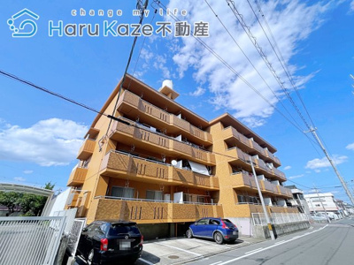 【外観】 | ハイツ白雲【名古屋市賃貸・RC造】