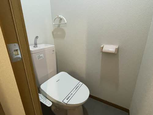 熊本市南区近見３丁目の賃貸マンションのトイレ