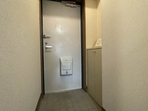 熊本市南区近見３丁目の賃貸マンションの玄関