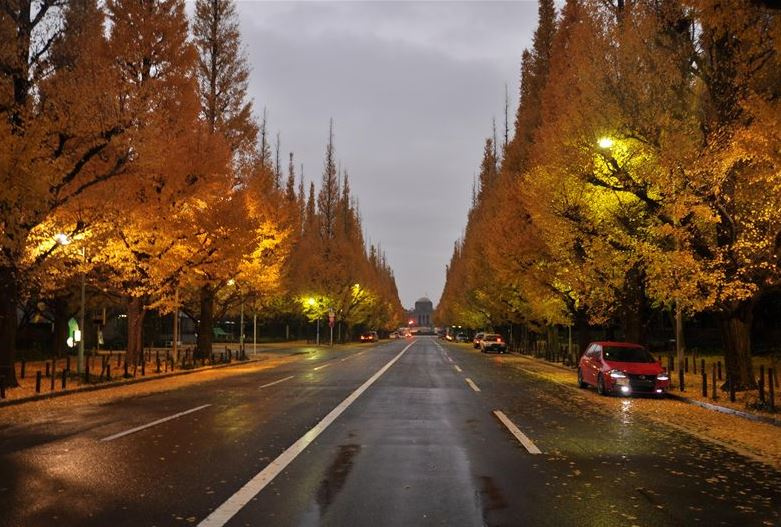 サンフェル神宮前の駐車場|銀杏並木
