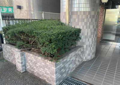 【中庭】 | ライオンズマンション相模原第７ | 中庭（パティオ）とは、一つの建築物の内部に設けられた、壁などで囲われている庭のことを指します。コの字型、ロの字型が主流ですが、L字型の中庭もあります。最近では、インテリア性の高さからも人気があります。