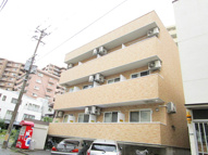 ボアソナードⅤの画像