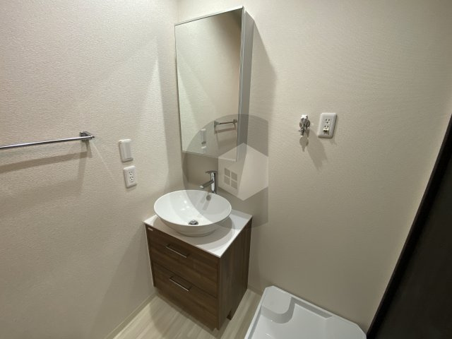 フジパレス岩田町ノースの独立洗面台