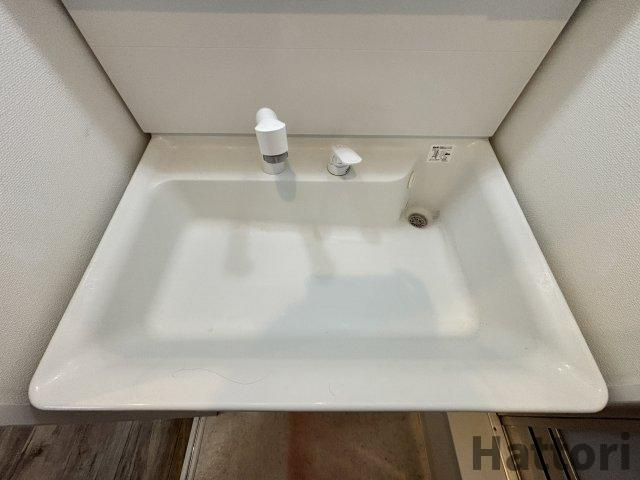 グロワール池田の洗面所