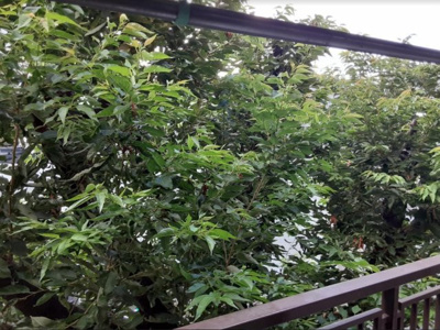 【展望】 | 荻野マンション