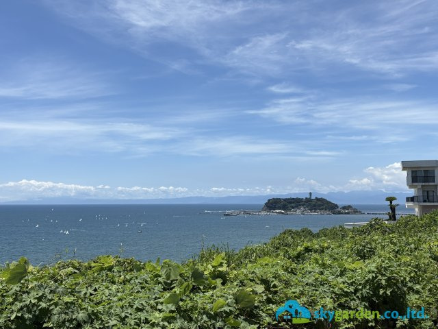 鎌倉市七里ガ浜２丁目２期　新築戸建　全1棟1号棟の周辺|現地より約280m付近の風景