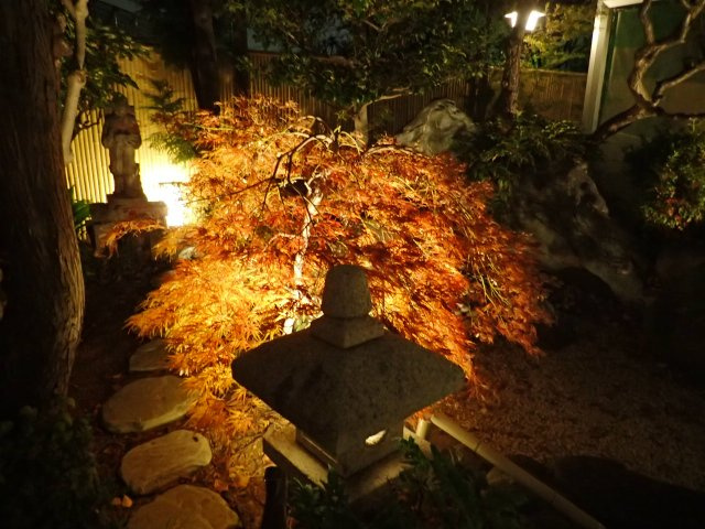 堺市中区土師町1丁戸建の庭