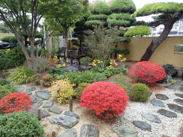 堺市中区土師町1丁戸建の庭