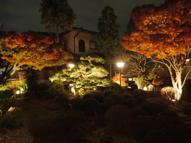 堺市中区土師町1丁戸建の庭