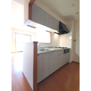 レージュ竜泉のキッチン