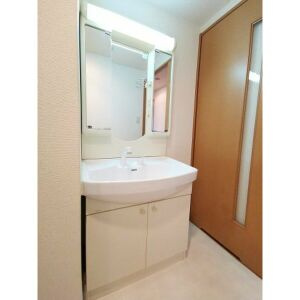 レージュ竜泉の洗面所