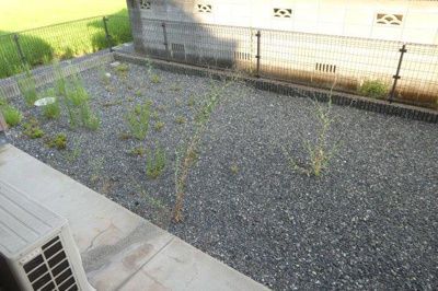 【庭】 | アメニティガーデン