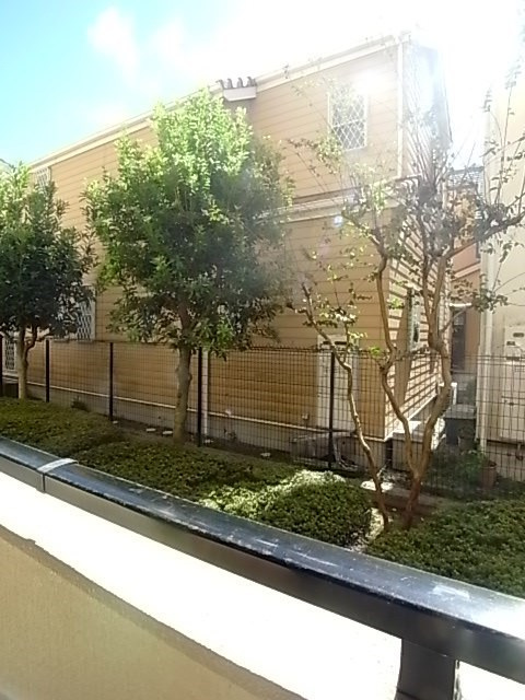 レルンブラールの展望