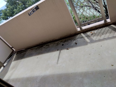 【バルコニー】 | ロックベアーヒルズⅢ | 外からの目が気にならないバルコニーで洗濯物が干せます