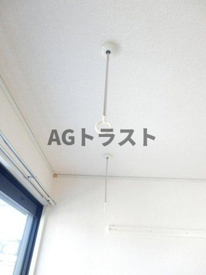 【その他】 | パフィオニッシン