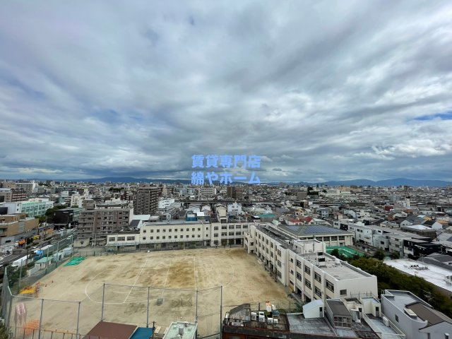 FDS WILL KOHAMAの展望