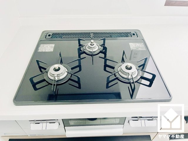 パデシオン桃山南のキッチン