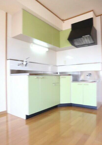 熊本市南区南高江６丁目の賃貸マンションのキッチン