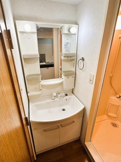 ブロッサムガーデンの洗面所