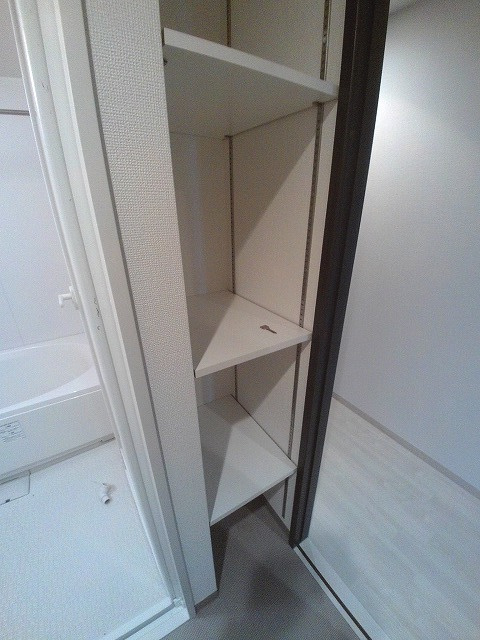 パレスマイセンの収納