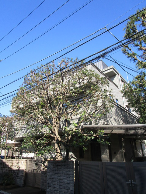 Ｐａｒａ　Ｏｎｃｅの外観|地震に強い旭化成ヘーベルメゾン！