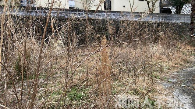 逗子市沼間１丁目売地の外観|外観です