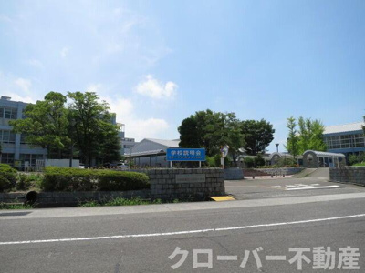  | フォーエバー２０ | 四国職業能力開発大…まで1216m