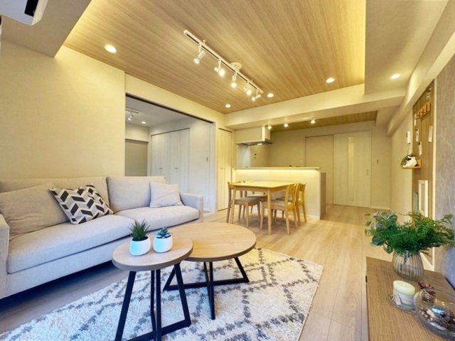 ペット可♪内装リノベーション済み【梶ヶ谷ドエリング】の画像