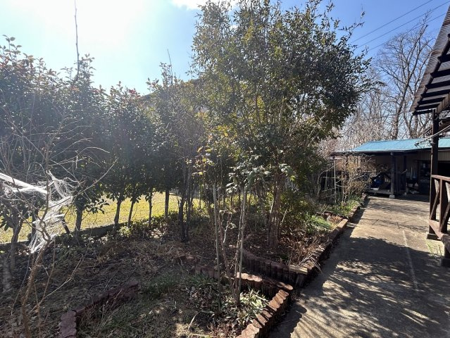 山田町西山 中古一戸建ての庭