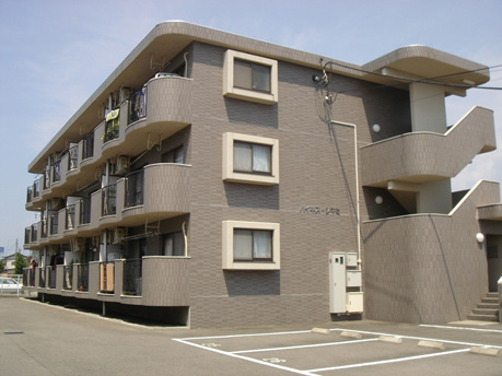 ハイネスシマミ