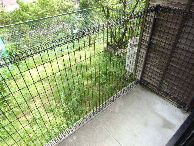 メイプルヒルの庭