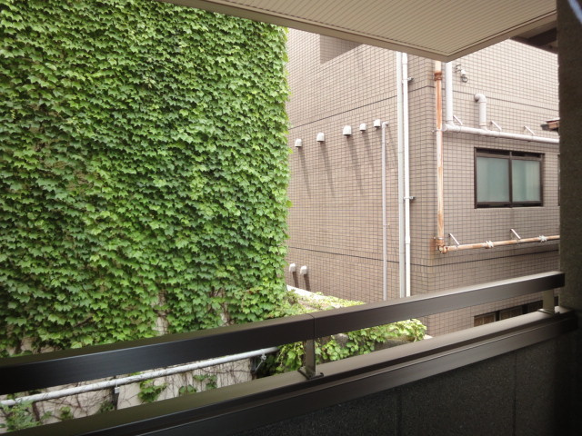 Ｗｉｓｅの展望|★眺望★