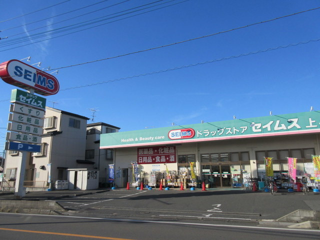 エステートKのその他|ドラッグセイムス上小町店
