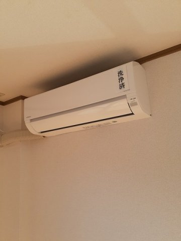 ライツェント・ハオスのその他